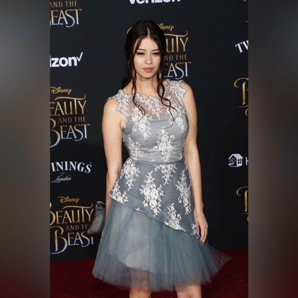 Gray Lace Appliqué Mini Dress with Tulle Skirt